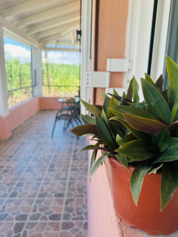 קאנוני Venetian Gem Central Corfu Retreat מראה חיצוני תמונה